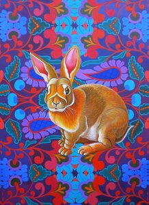 Rabbit by Jane Tattersfield